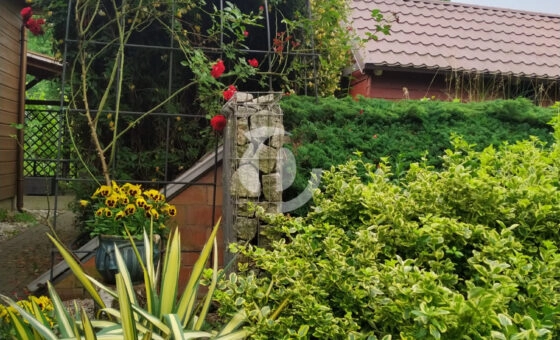 Wyjątkowa nieruchomość w sercu natury!