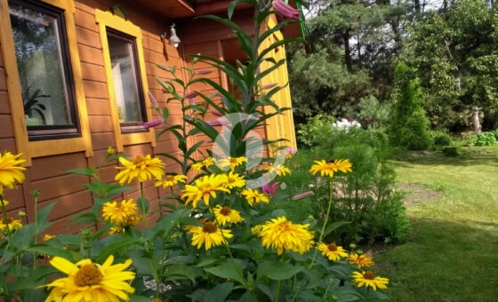 Wyjątkowa nieruchomość w sercu natury!