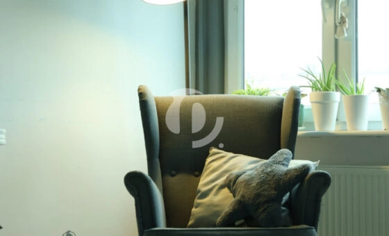 Duże 3-pokojowe mieszkanie z jasnym salonem