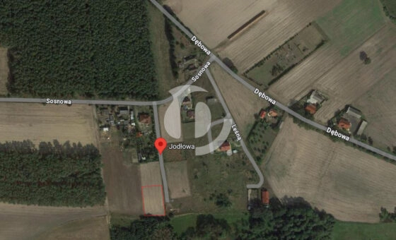 Duża działka budowlana Murzynowo Leśne