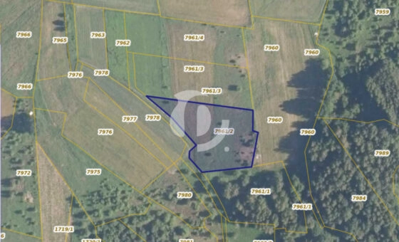 Działka 29,16 ar, Z UZYSKANYMI WARUNKAMI ZABUDOWY