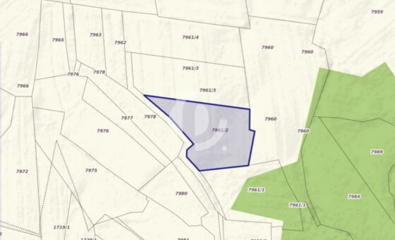 Działka 29,16 ar, Z UZYSKANYMI WARUNKAMI ZABUDOWY