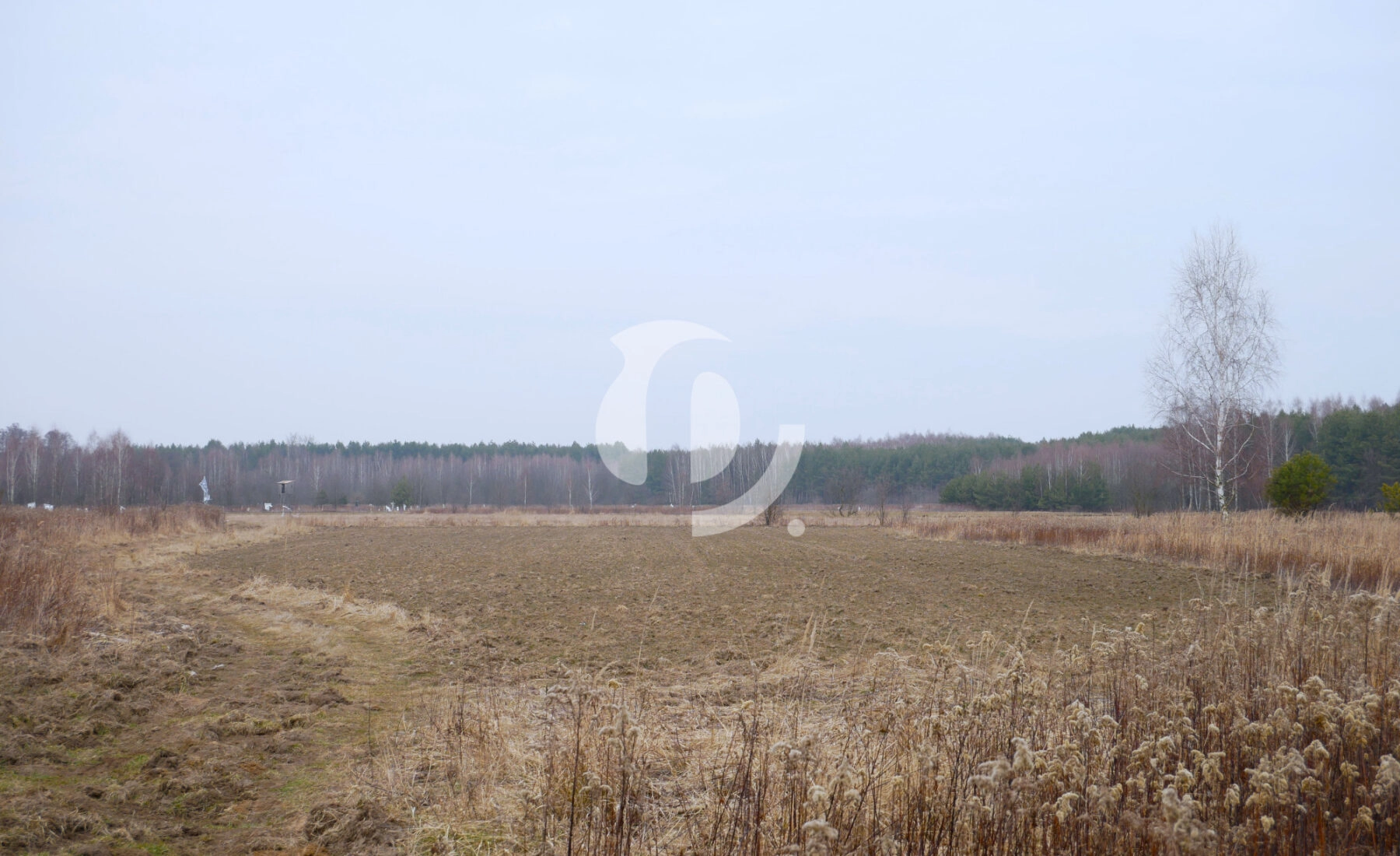 Działka 29,16 ar, Z UZYSKANYMI WARUNKAMI ZABUDOWY