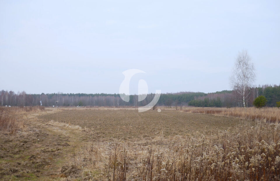 Działka 29,16 ar, Z UZYSKANYMI WARUNKAMI ZABUDOWY