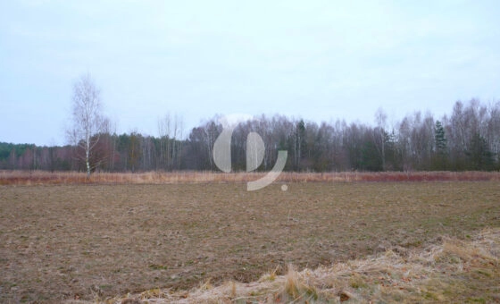 Działka 29,16 ar, Z UZYSKANYMI WARUNKAMI ZABUDOWY