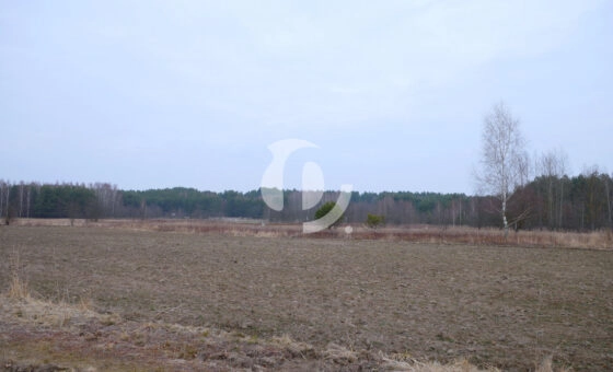 Działka 29,48 ar, Z UZYSKANYMI WARUNKAMI ZABUDOWY