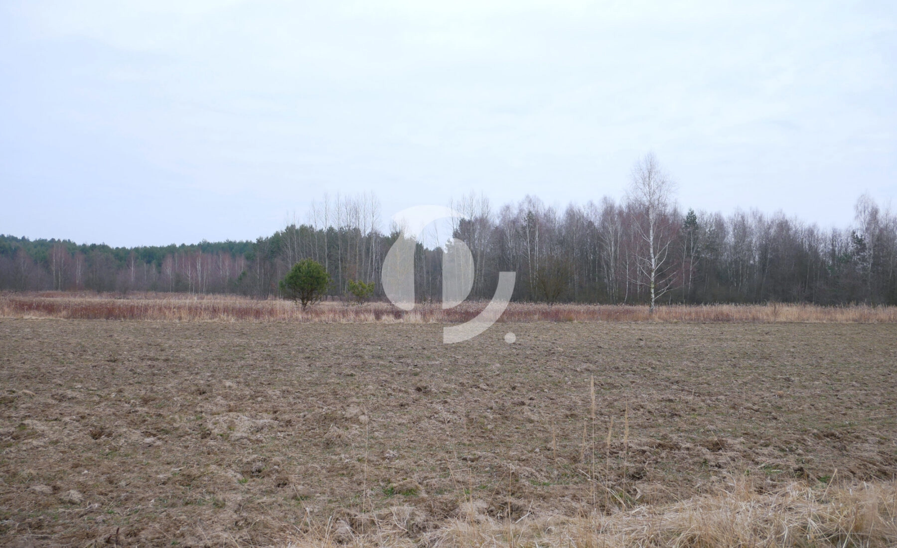 Działka 29,48 ar, Z UZYSKANYMI WARUNKAMI ZABUDOWY