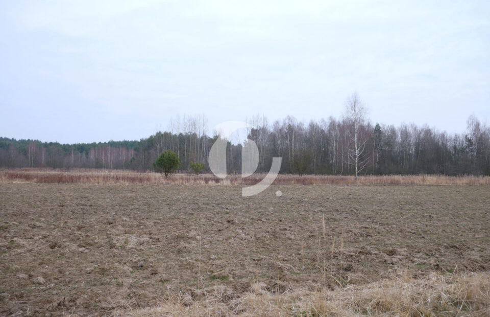 Działka 29,48 ar, Z UZYSKANYMI WARUNKAMI ZABUDOWY