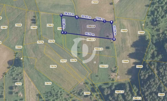 Działka 29,54 ar, Z UZYSKANYMI WARUNKAMI ZABUDOWY