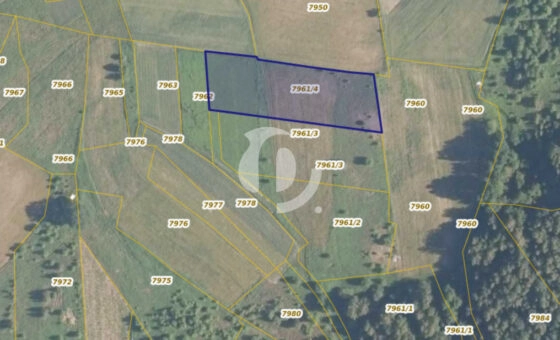 Działka 29,54 ar, Z UZYSKANYMI WARUNKAMI ZABUDOWY