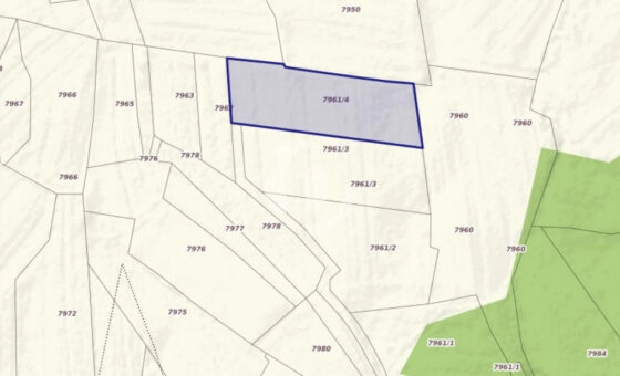 Działka 29,54 ar, Z UZYSKANYMI WARUNKAMI ZABUDOWY