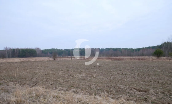 Działka 29,54 ar, Z UZYSKANYMI WARUNKAMI ZABUDOWY