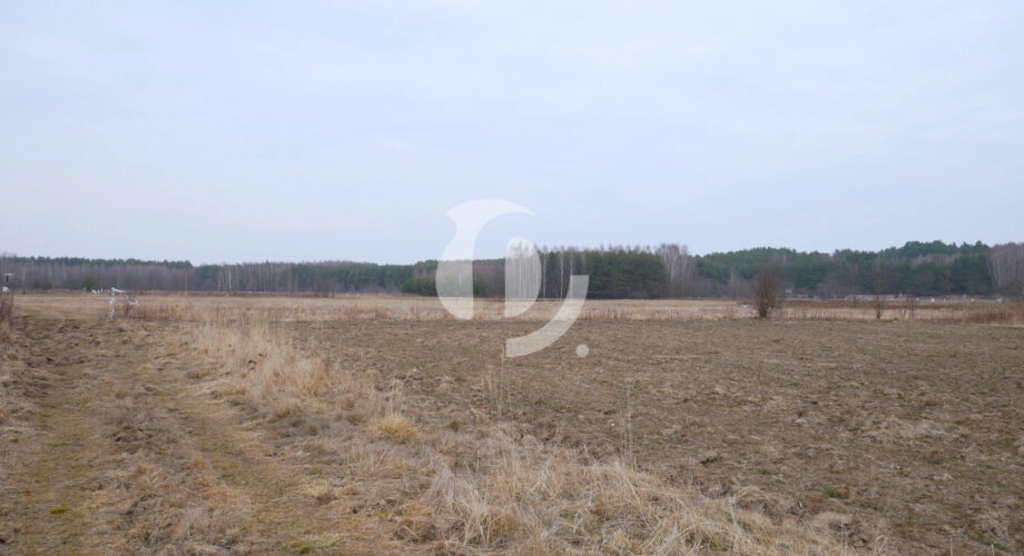 Działka 29,54 ar, Z UZYSKANYMI WARUNKAMI ZABUDOWY
