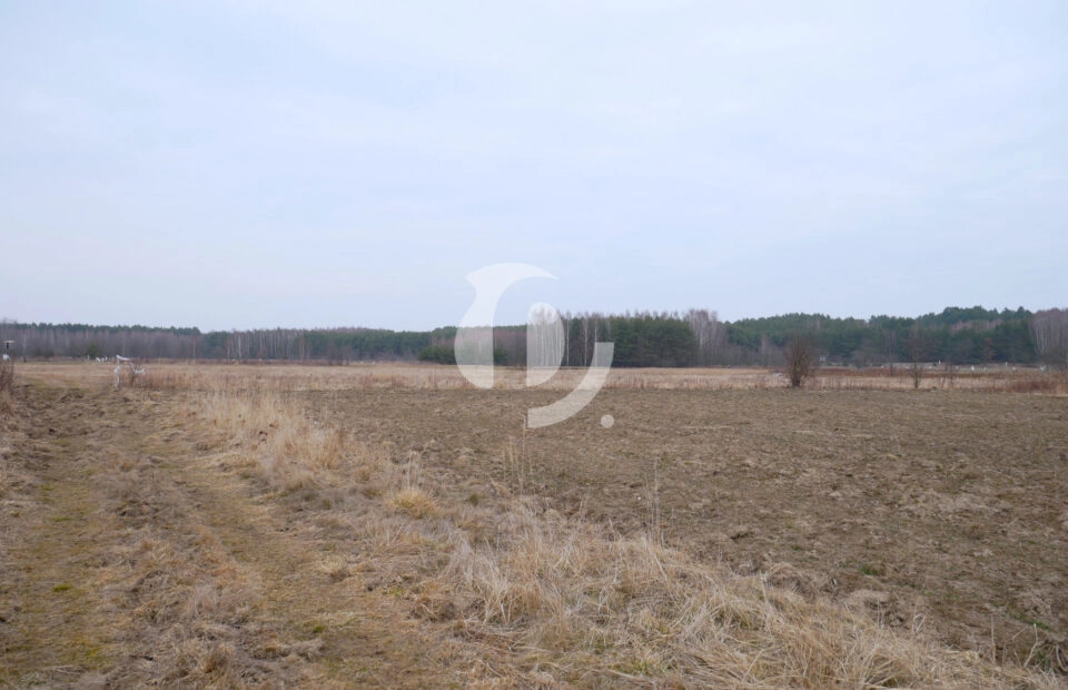 Działka 29,54 ar, Z UZYSKANYMI WARUNKAMI ZABUDOWY