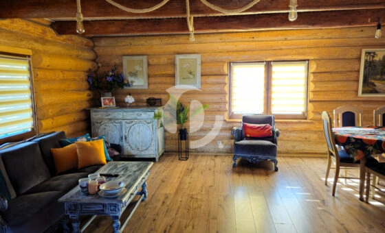 Dom z bali nad brzegiem jeziora ślesińskiego