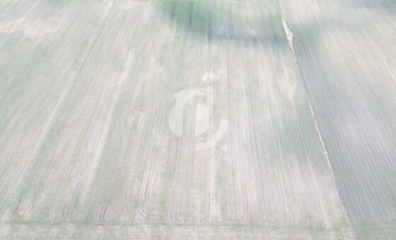 Działki budowlane na sprzedaż – Wymysłowo, Gniezno