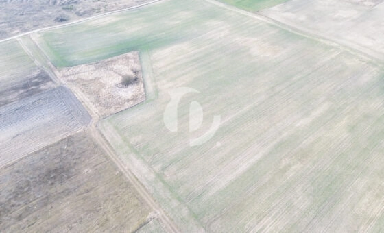 Działki budowlane na sprzedaż – Wymysłowo, Gniezno
