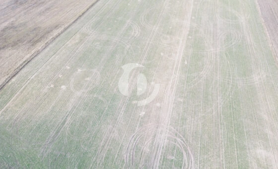 Działki budowlane na sprzedaż – Wymysłowo, Gniezno