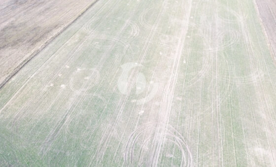 Działki budowlane na sprzedaż – Wymysłowo, Gniezno