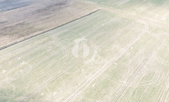 Działki budowlane na sprzedaż – Wymysłowo, Gniezno