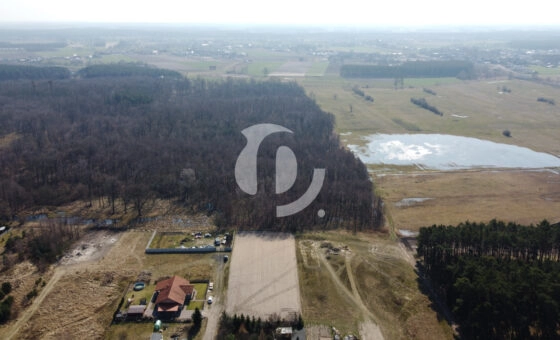 Duża działka budowlana Murzynowo Leśne