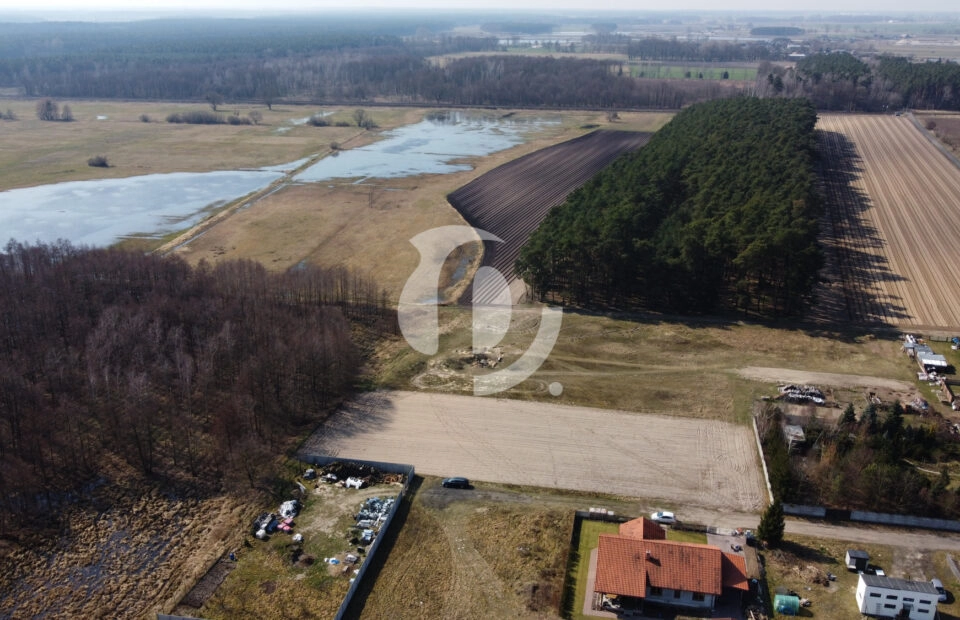Duża działka budowlana Murzynowo Leśne