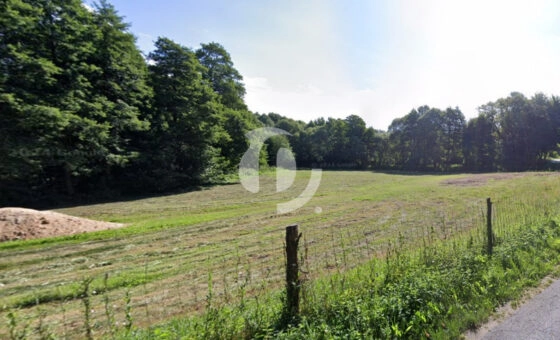 Działki– Pierwsza linia brzegowa - J. Ostrowickie