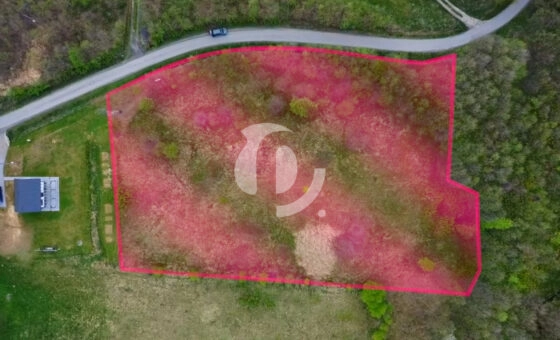 Działka budowlana w Hucie Gogołowskiej