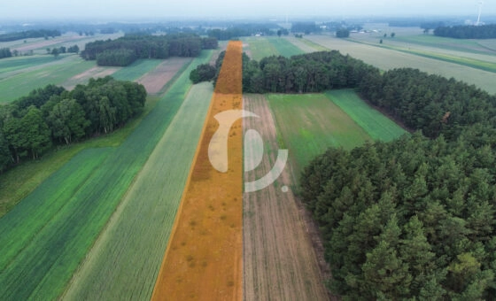 Na sprzedaż: 7 działek z MPZP – Kępina