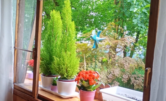 Podgórze, 85 M2 , 4 pokoje + kuchnia