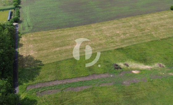 działka 12a, Naprusewo, gm. Ostrowite