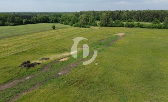 działka 12a, Naprusewo, gm. Ostrowite