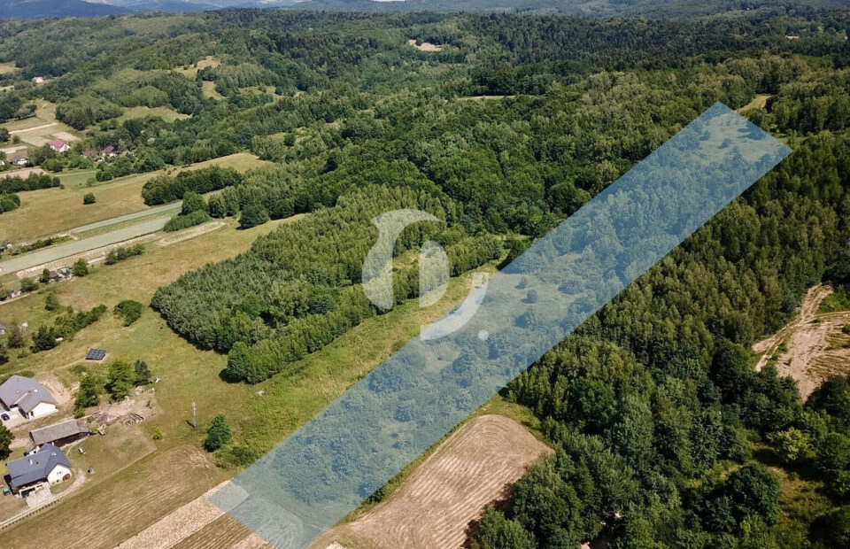 Działki z warunkami zabudowy - Łęki Strzyżowskie