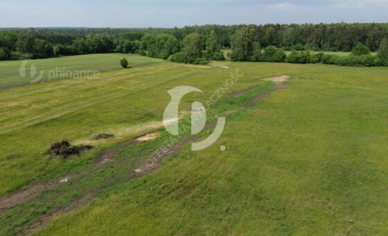 działka 19,5a, Naprusewo, gm. Ostrowite