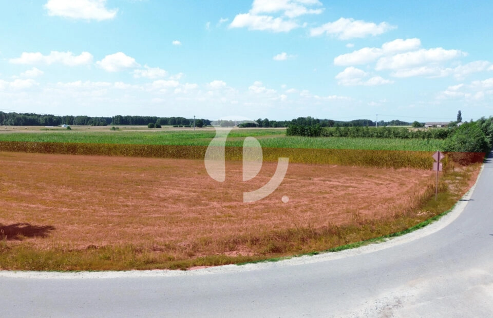 Działka budowlana – Łomów, gm. Zagórów