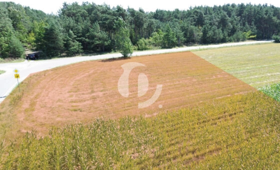 Działka budowlana – Łomów, gm. Zagórów