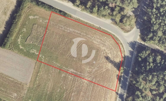 Działka budowlana – Łomów, gm. Zagórów