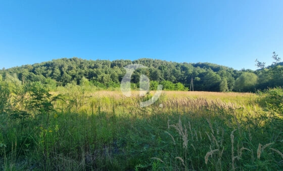 Działka 73 ary – zabudowa jednorodzinna, Mników