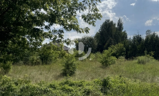 Brużyczka Mała / Aleksandrów działka bud. 1.442 m2