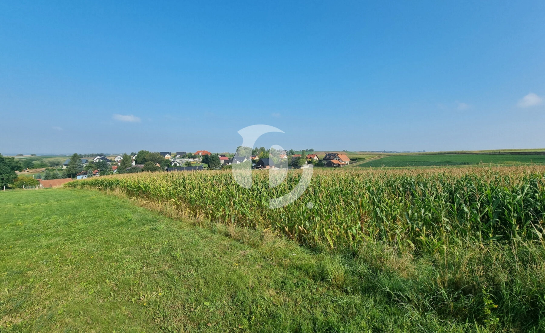 Działka budowlana- Raciborowice, gm. Michałowice