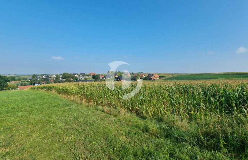 Działka budowlana- Raciborowice, gm. Michałowice