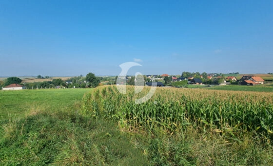 Działka budowlana- Raciborowice, gm. Michałowice