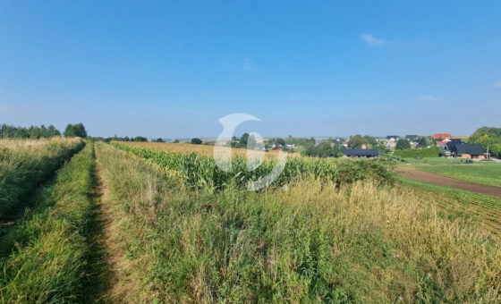 Działka budowlana- Raciborowice, gm. Michałowice