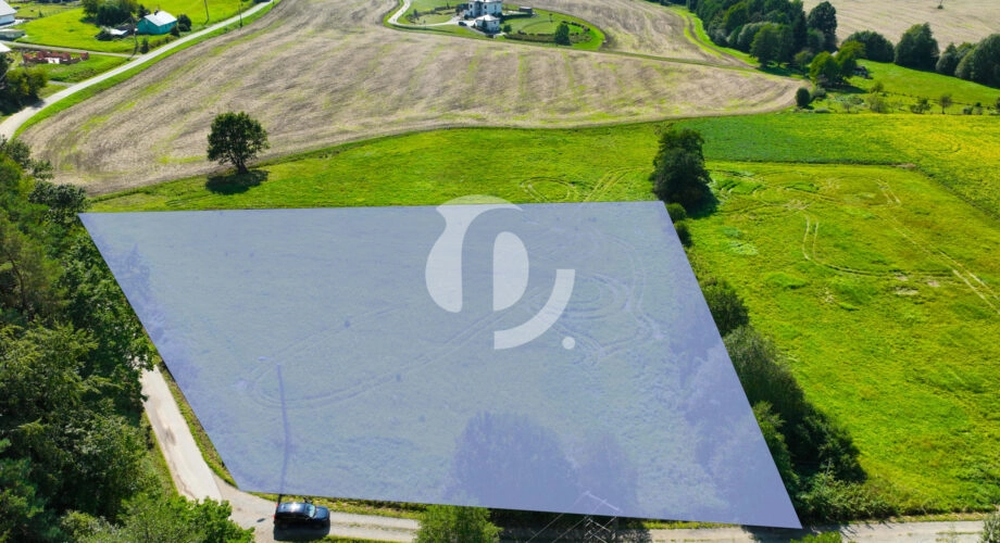 Działka 61,90 a, w Grabownicy Starzeńskiej (wz)