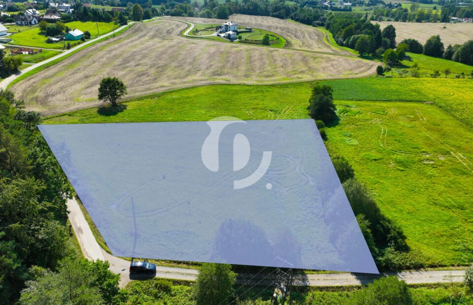 Działka 61,90 a, w Grabownicy Starzeńskiej (wz)