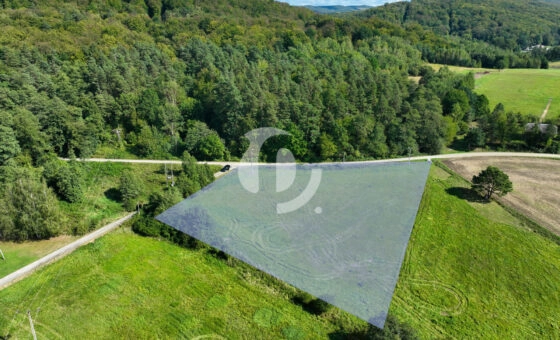 Działka 61,90 a, w Grabownicy Starzeńskiej (wz)