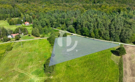 Działka 61,90 a, w Grabownicy Starzeńskiej (wz)