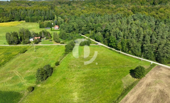 Działka 61,90 a, w Grabownicy Starzeńskiej (wz)