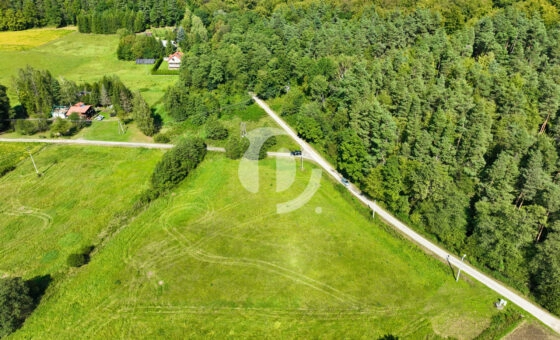 Działka 61,90 a, w Grabownicy Starzeńskiej (wz)