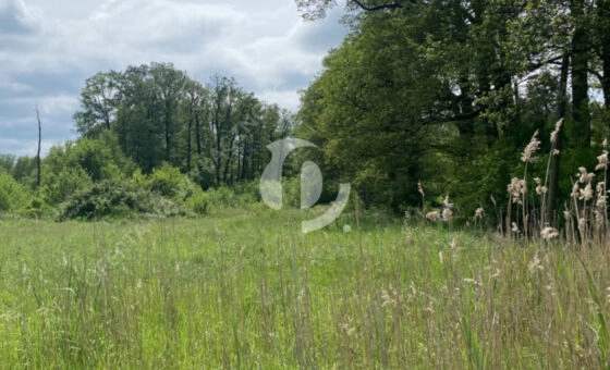 Łódź, Ruda, Stawy Stefańskiego - działka budowlana